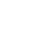 Dongfeng e VOYAH