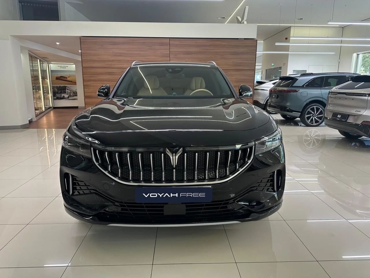 Voyah Free Luxury 12