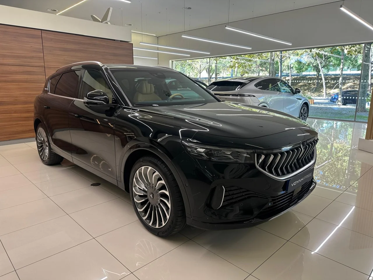 Voyah Free Luxury 15