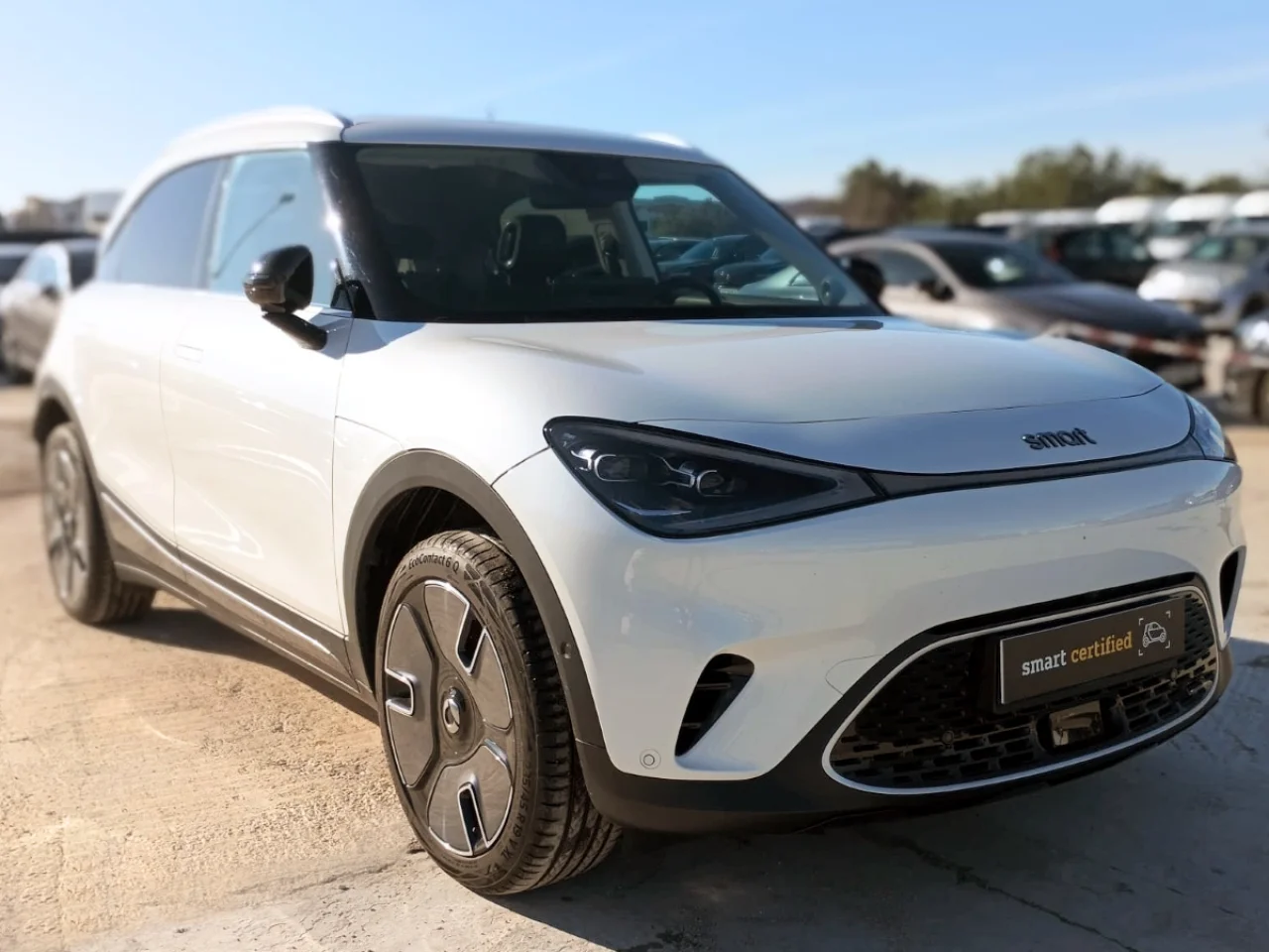 Smart #1 Premium 66 kwh 9