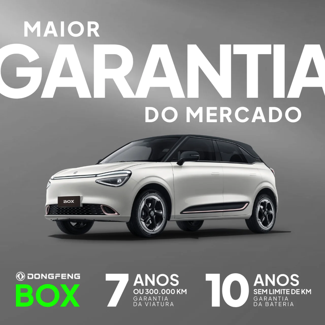 DONGFENG GARANTIAS 1