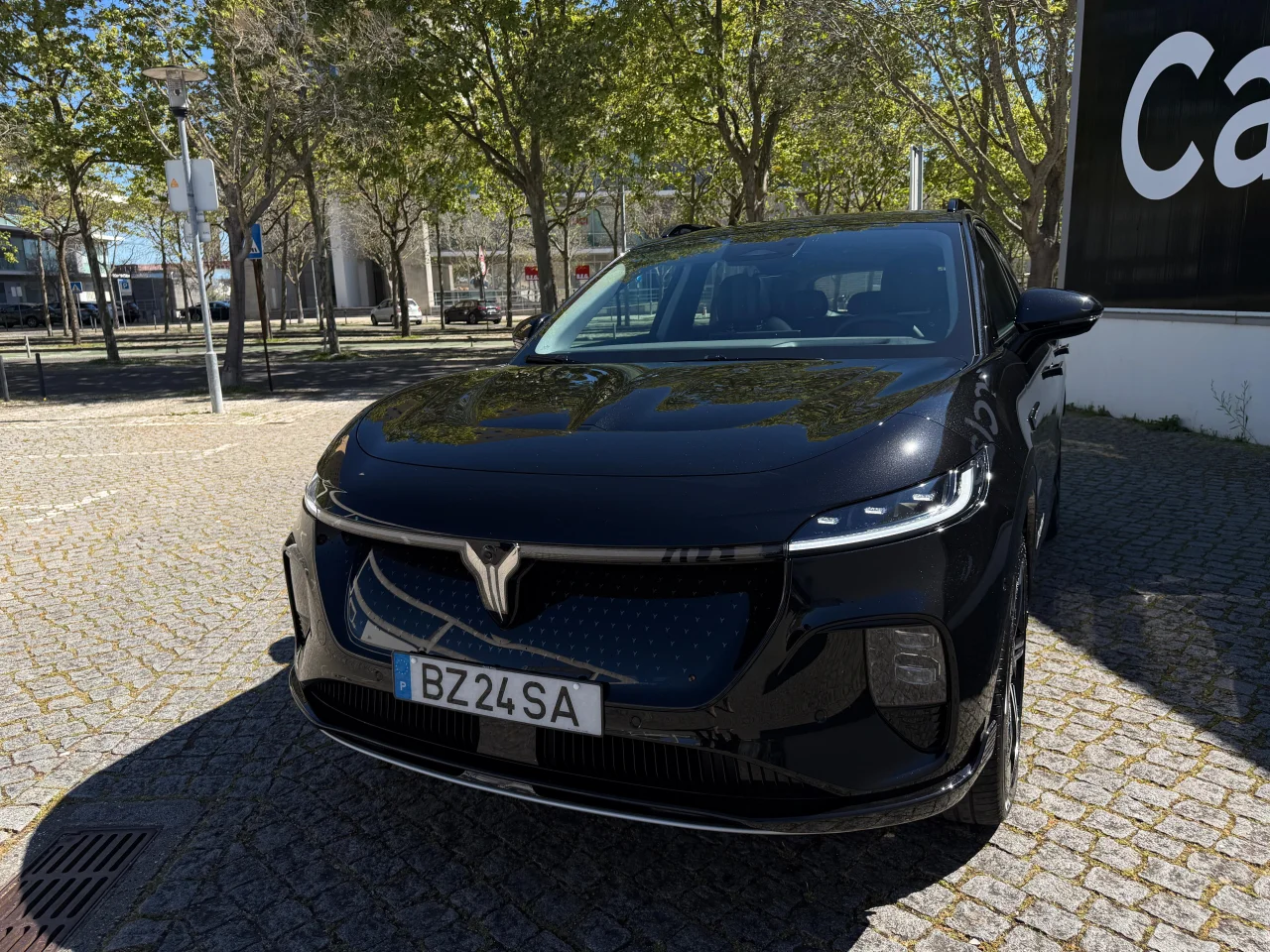 VOAYH	Courage RWD Exclusive 80kWh